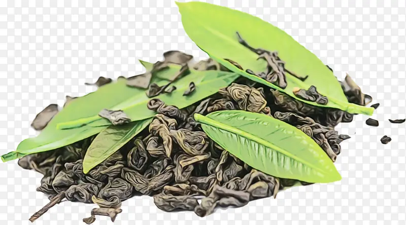 绿茶 茶 乌龙茶