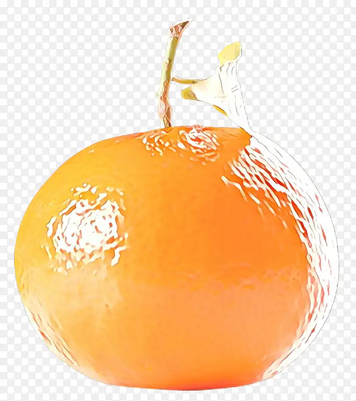 橙汁饮料 柑橘 橙汁