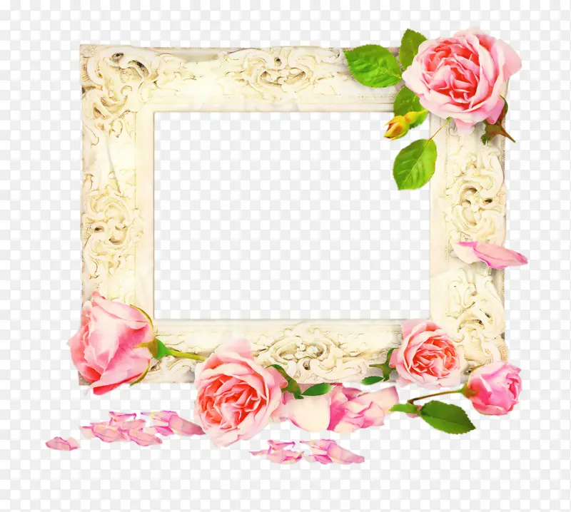 花园玫瑰 婚礼邀请函 相框