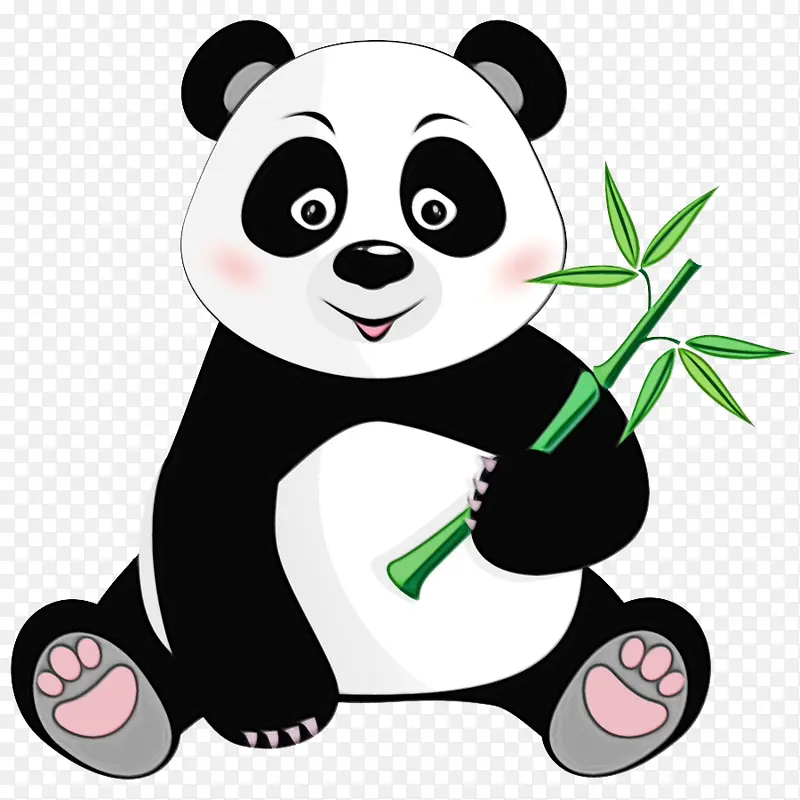 大熊猫 绘画 熊