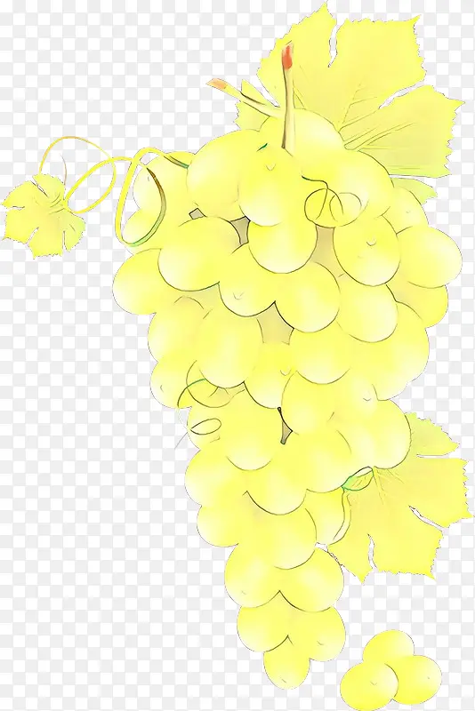 葡萄 花卉设计 黄色