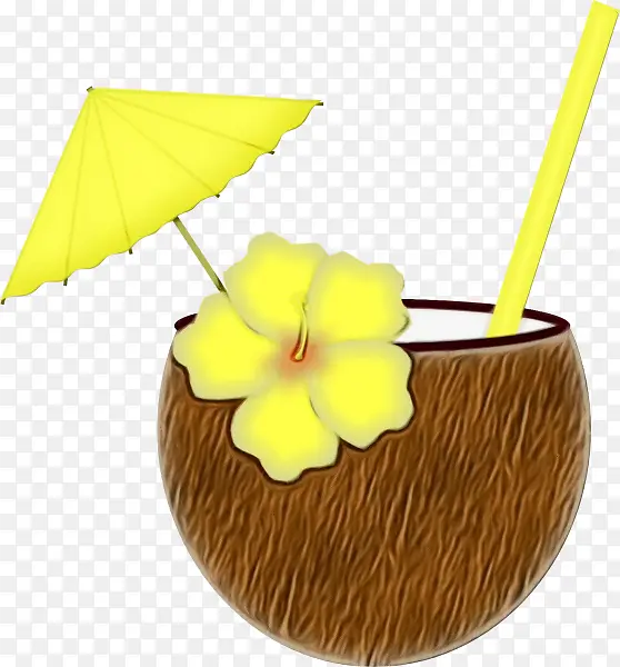黄色 伞 植物