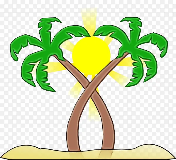 棕榈树 树枝 椰子
