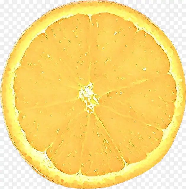 橙子 葡萄柚 柠檬
