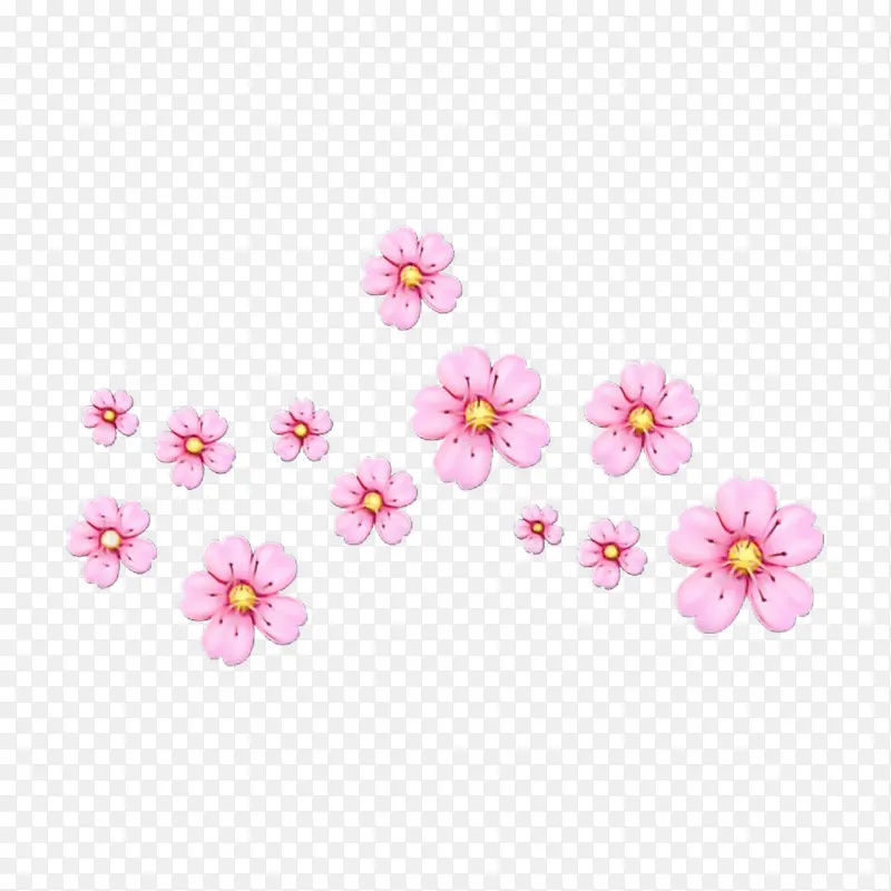 樱花 花朵 花卉设计