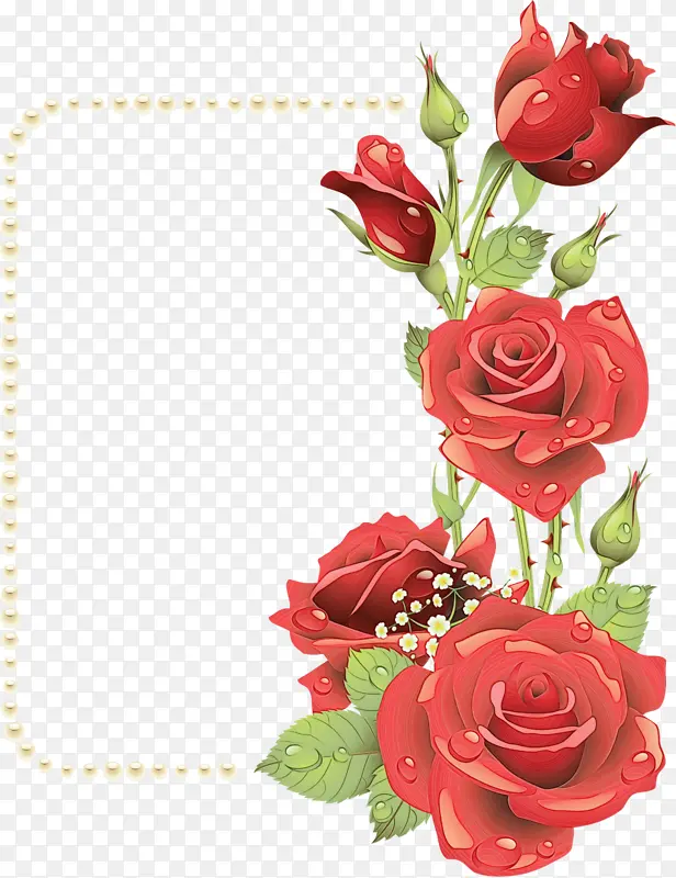 玫瑰 花卉设计 画框