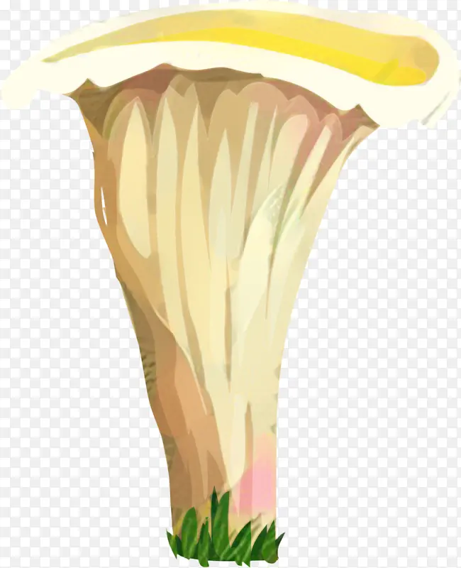 花瓶 植物 猪笼草