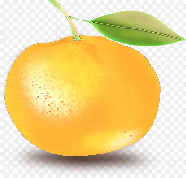 克莱门汀 柠檬 橙子