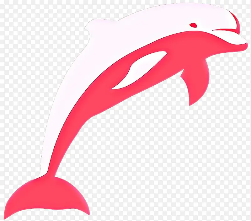 短喙普通海豚 海豚 旋转海豚
