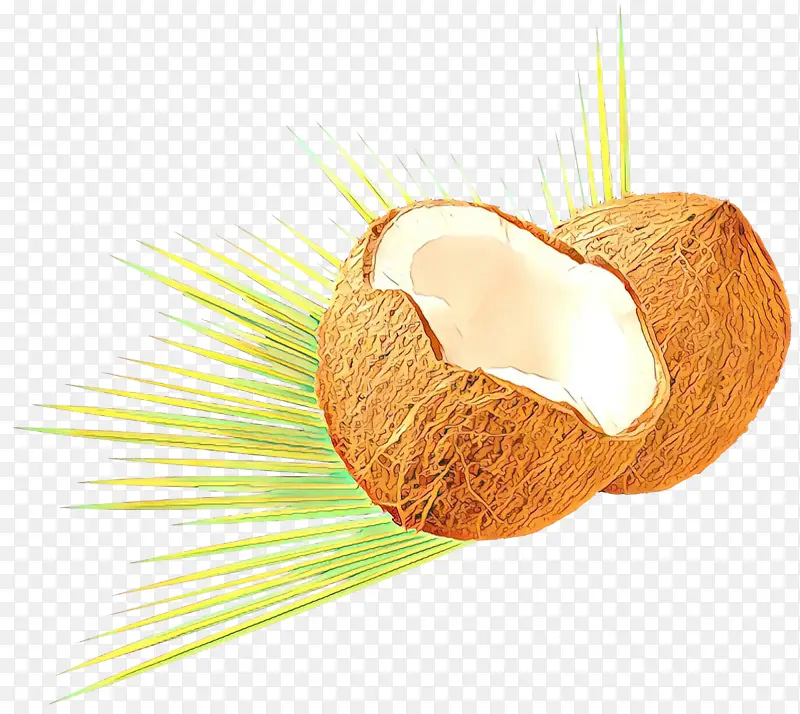 食品 日用品 椰子
