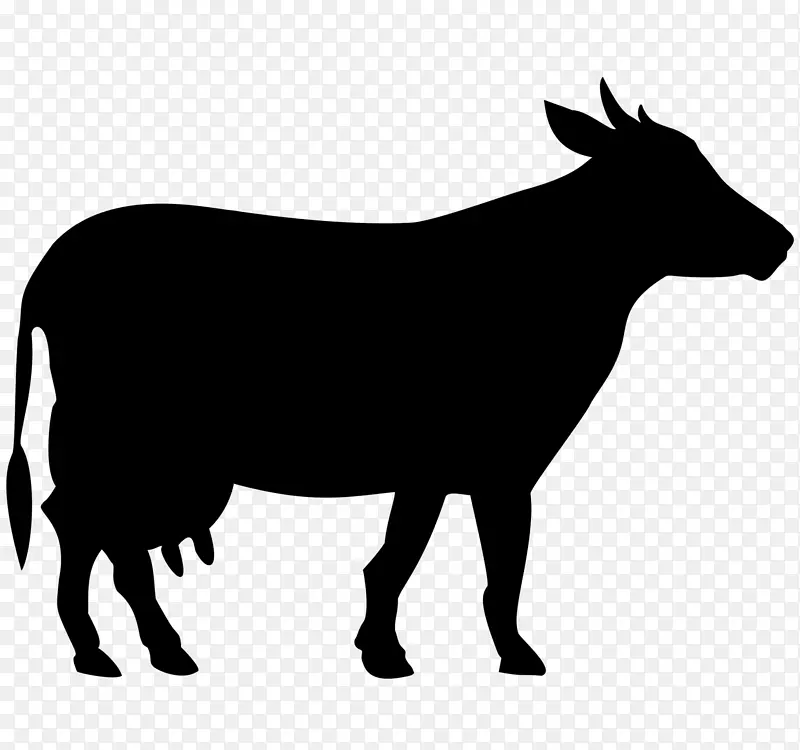 白公园牛 威尔士黑牛 荷斯坦弗里西亚牛