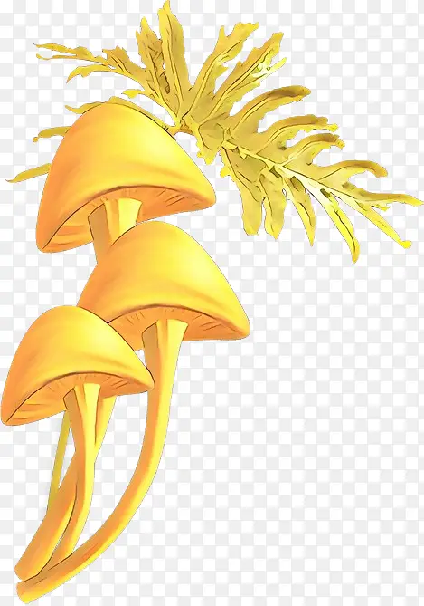 三维空间 蘑菇 计算机