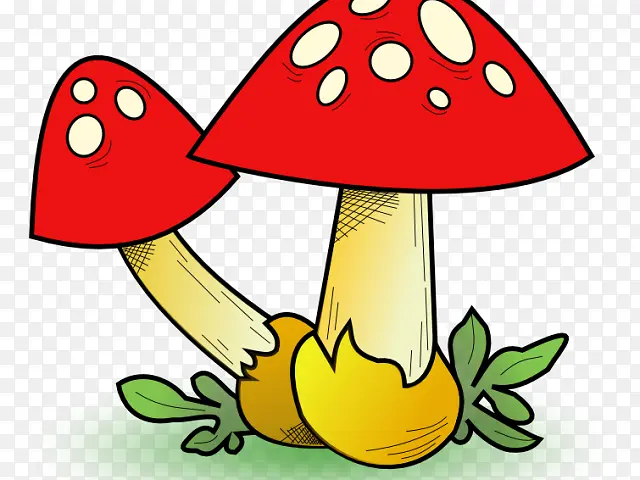 蘑菇 木耳 食用菌