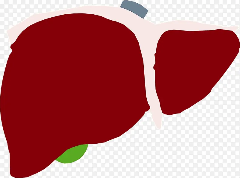 肝脏 丙型肝炎 脂肪肝
