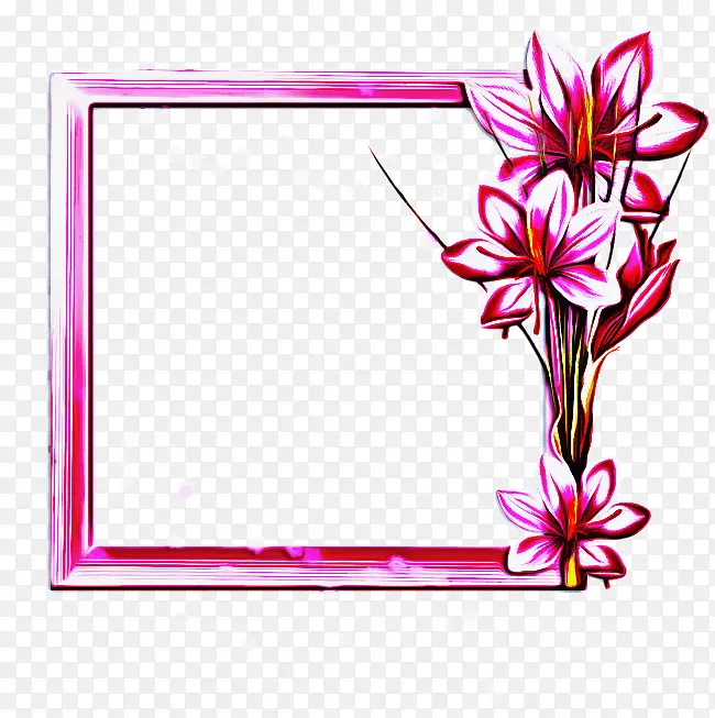 画框 花卉设计 边框和框架