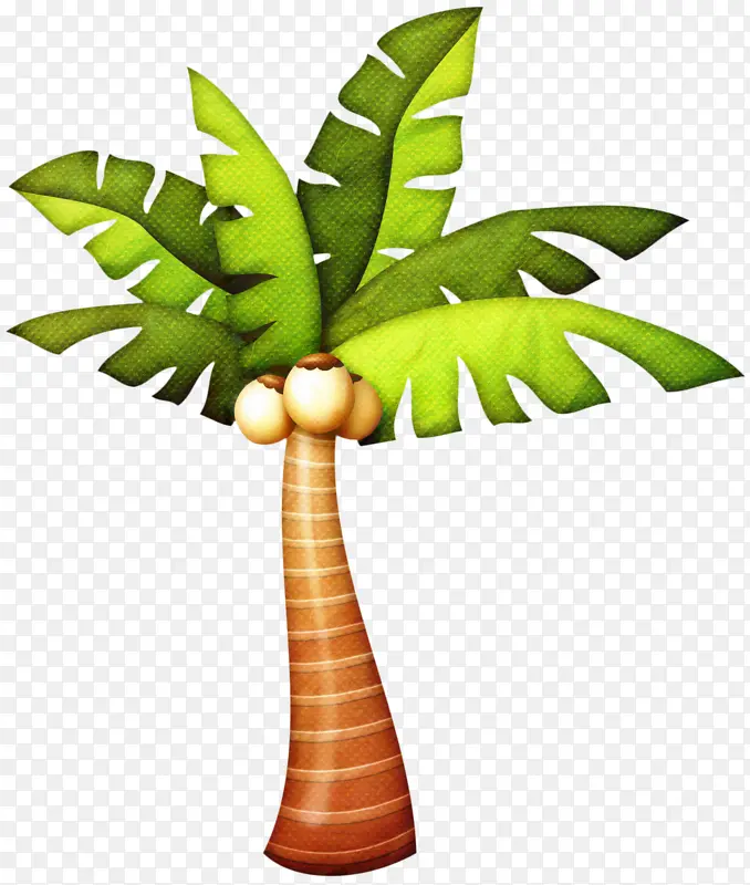 棕榈树 绘画 椰子