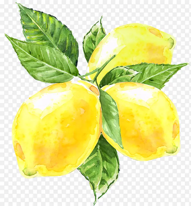 柠檬 黄皮 水果