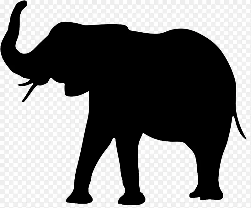 大象 剪影 非洲丛林大象