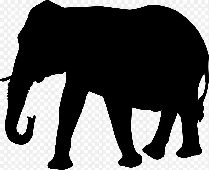 大象 剪影 非洲大象