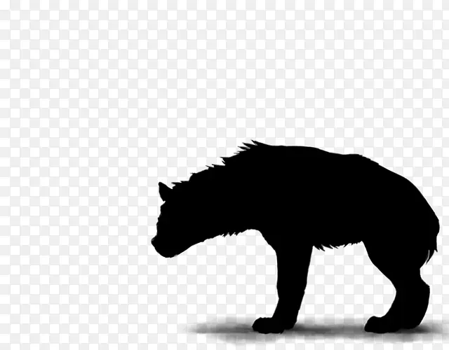 鬣狗 狮子 条纹鬣狗