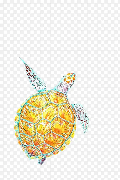 菠萝 海龟 水果