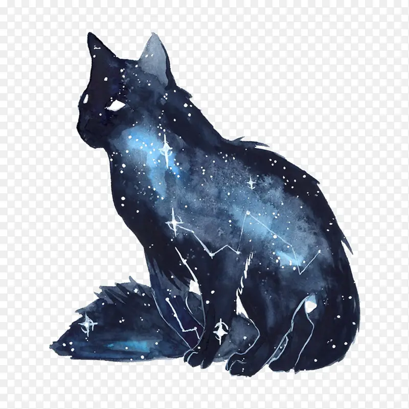 猫 水彩画 素描