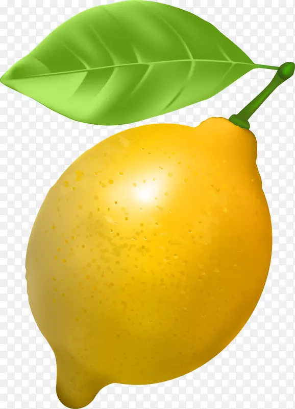 柠檬 柑橘 甜柠檬