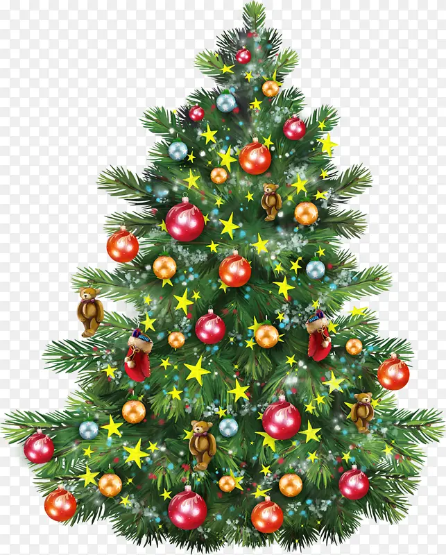 圣诞树 枞树 圣诞节