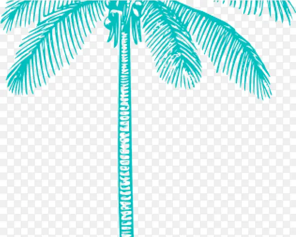 棕榈树 树 图画