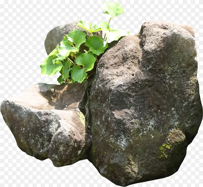 岩石 巨石 塞内卡岩石