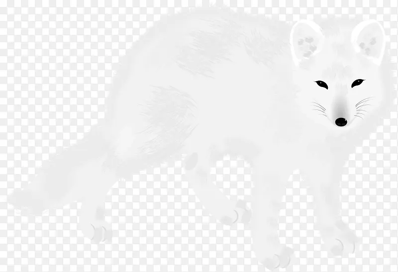 北极狐 红狐 胡须