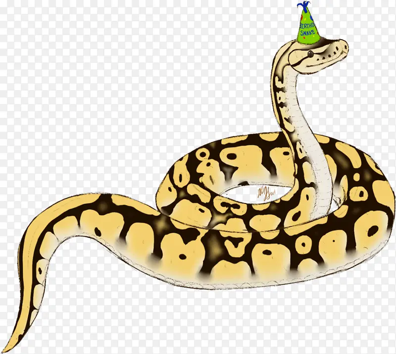 蛇 蟒蛇 生日