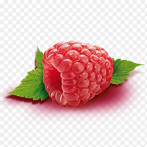 红覆盆子 水果 浆果