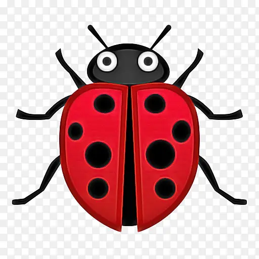甲虫 表情符号 瓢虫甲虫