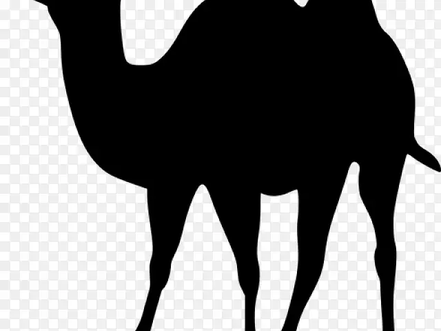 骆驼 剪影 绘画