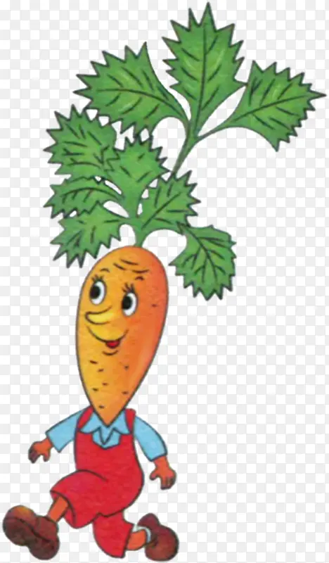 蔬菜 素描 胡萝卜