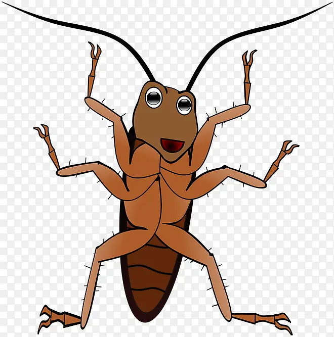 蟑螂 昆虫 蚂蚁