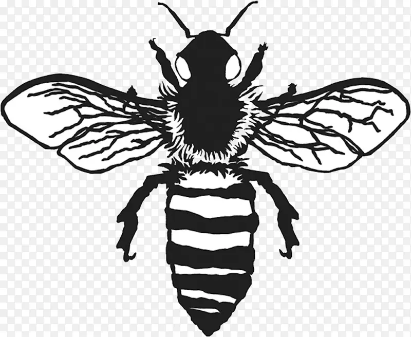 蜜蜂 绘画 大黄蜂