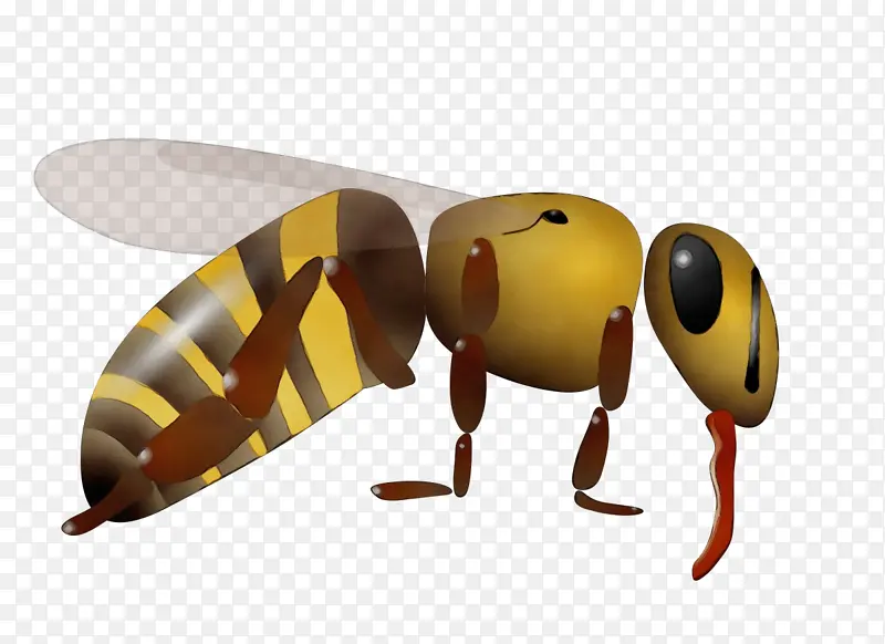 蜜蜂 螺旋桨 害虫
