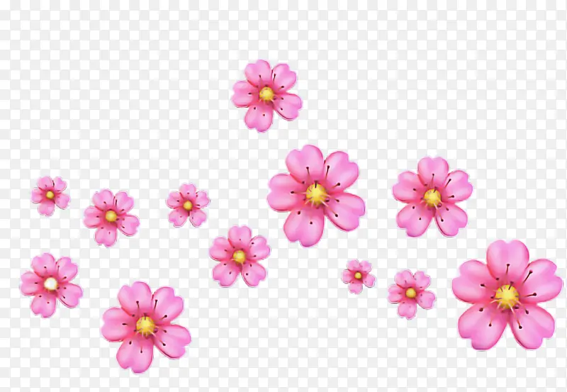 花卉设计 花朵 菊花
