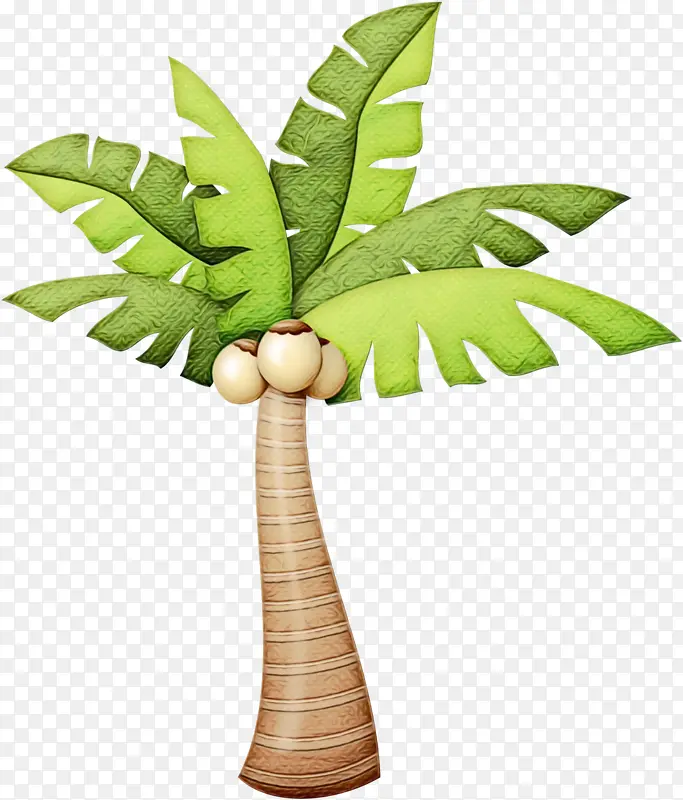棕榈树 绘画 椰子