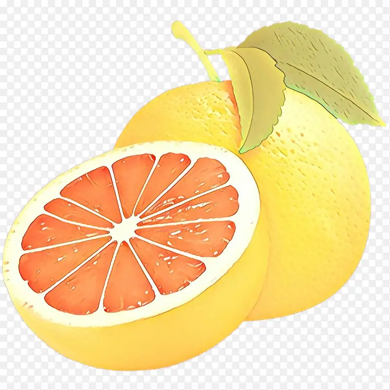 葡萄柚 橙子 血橙