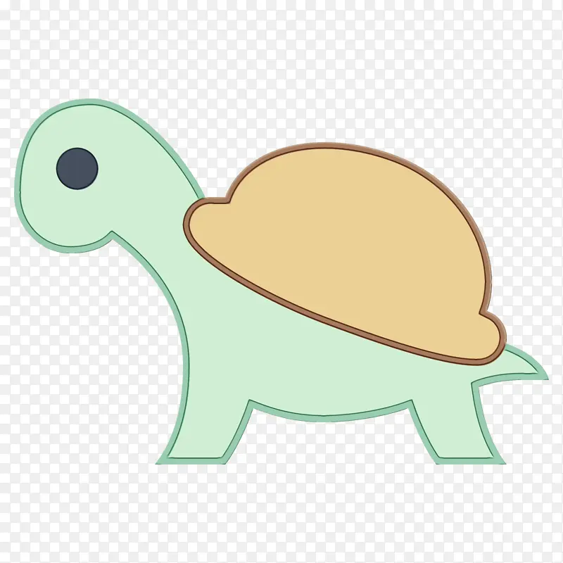 龟 海龟 喙