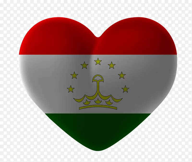 伊朗 塔吉克斯坦 心脏