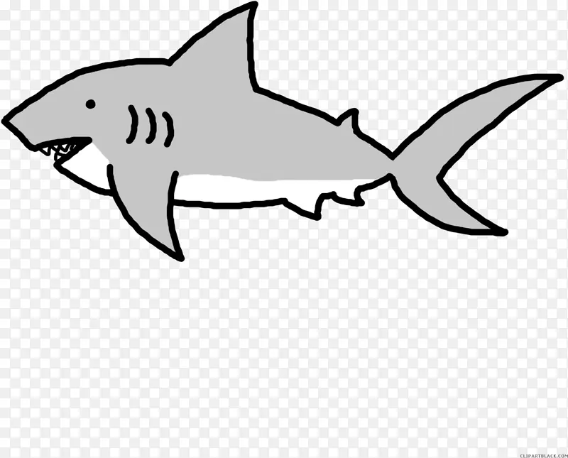 鲨鱼 大白鲨 虎鲨