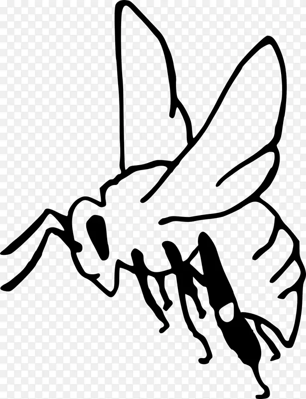 蜜蜂 西方蜜蜂 昆虫