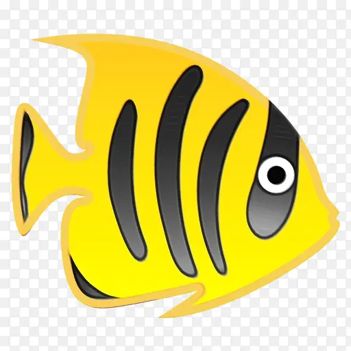 生物学 黄色 鱼类