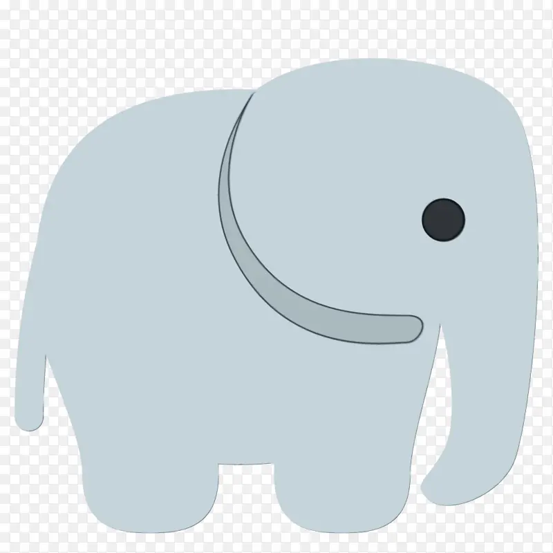 非洲象 印度象 大象