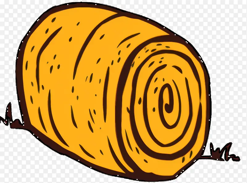 蜗牛 昆虫 黄色