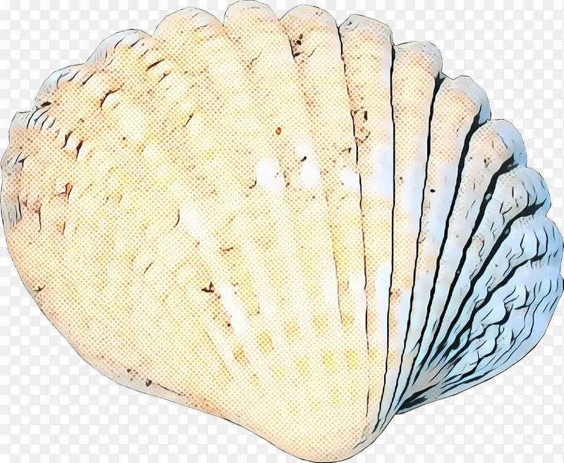 科克尔 蛤蜊 贝壳